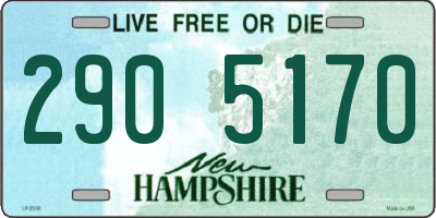 NH license plate 2905170