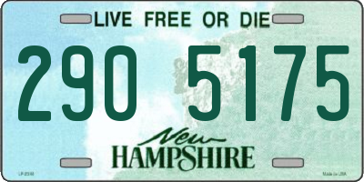 NH license plate 2905175