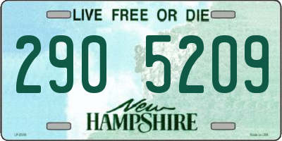 NH license plate 2905209