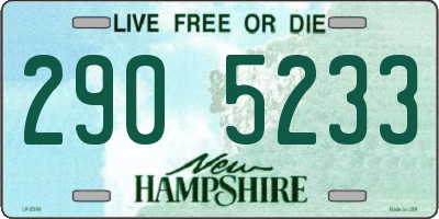 NH license plate 2905233