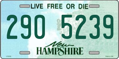 NH license plate 2905239