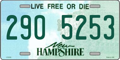 NH license plate 2905253