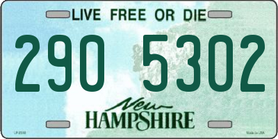 NH license plate 2905302