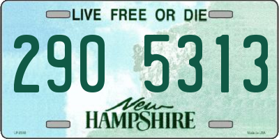 NH license plate 2905313