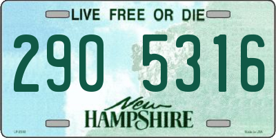 NH license plate 2905316