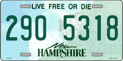 NH license plate 2905318