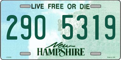 NH license plate 2905319