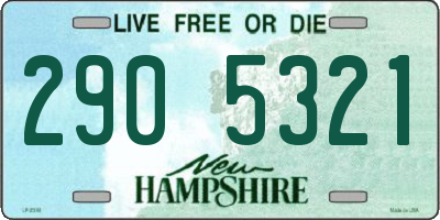 NH license plate 2905321