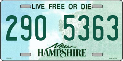 NH license plate 2905363