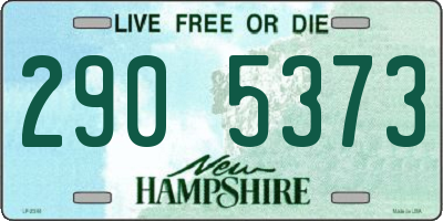 NH license plate 2905373