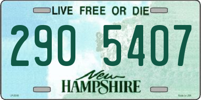 NH license plate 2905407