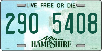 NH license plate 2905408