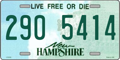NH license plate 2905414