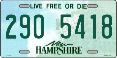 NH license plate 2905418