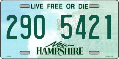 NH license plate 2905421