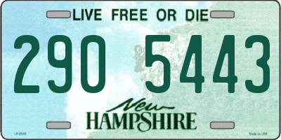 NH license plate 2905443
