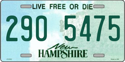 NH license plate 2905475