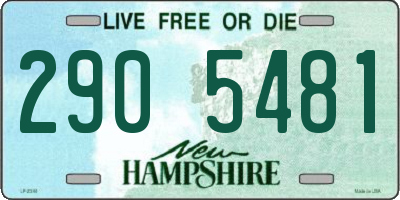 NH license plate 2905481