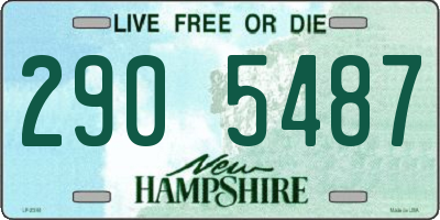 NH license plate 2905487