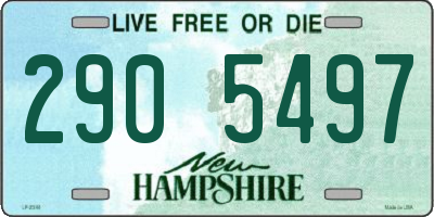 NH license plate 2905497