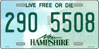 NH license plate 2905508