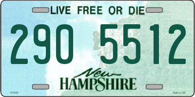NH license plate 2905512