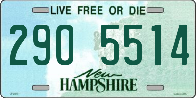 NH license plate 2905514