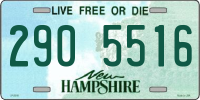 NH license plate 2905516