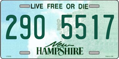 NH license plate 2905517