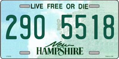 NH license plate 2905518