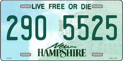 NH license plate 2905525