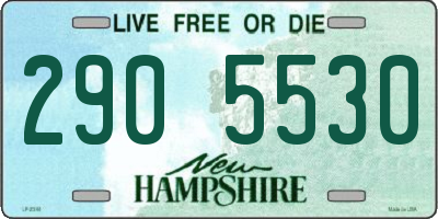 NH license plate 2905530
