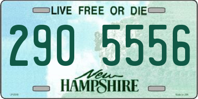 NH license plate 2905556