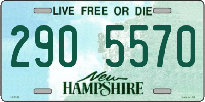 NH license plate 2905570