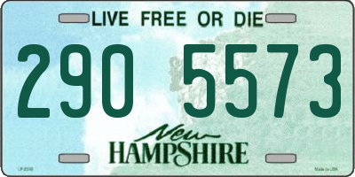 NH license plate 2905573
