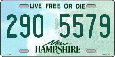 NH license plate 2905579