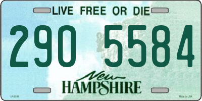 NH license plate 2905584