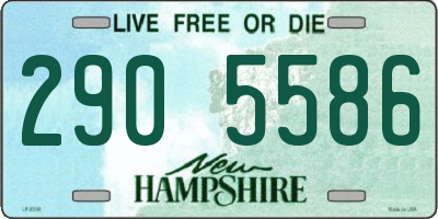 NH license plate 2905586