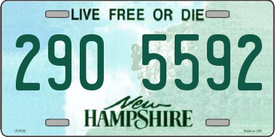 NH license plate 2905592