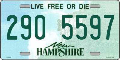 NH license plate 2905597