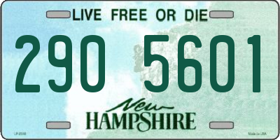 NH license plate 2905601