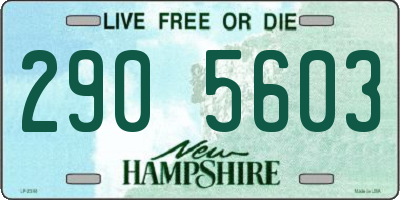 NH license plate 2905603