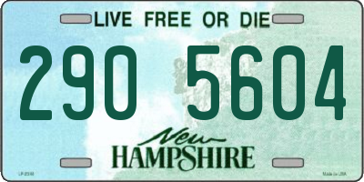 NH license plate 2905604