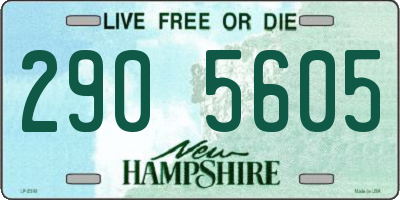 NH license plate 2905605