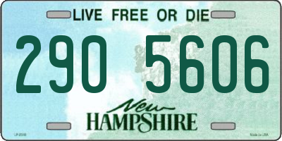 NH license plate 2905606