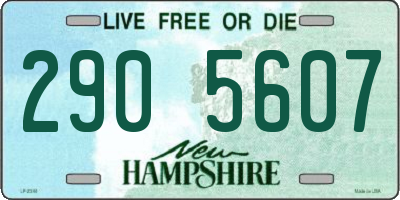 NH license plate 2905607