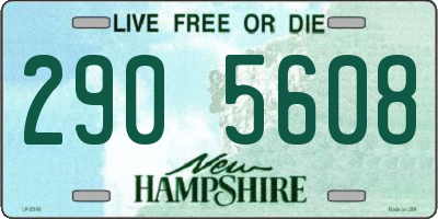 NH license plate 2905608