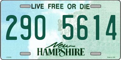 NH license plate 2905614