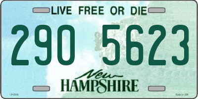 NH license plate 2905623