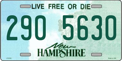 NH license plate 2905630